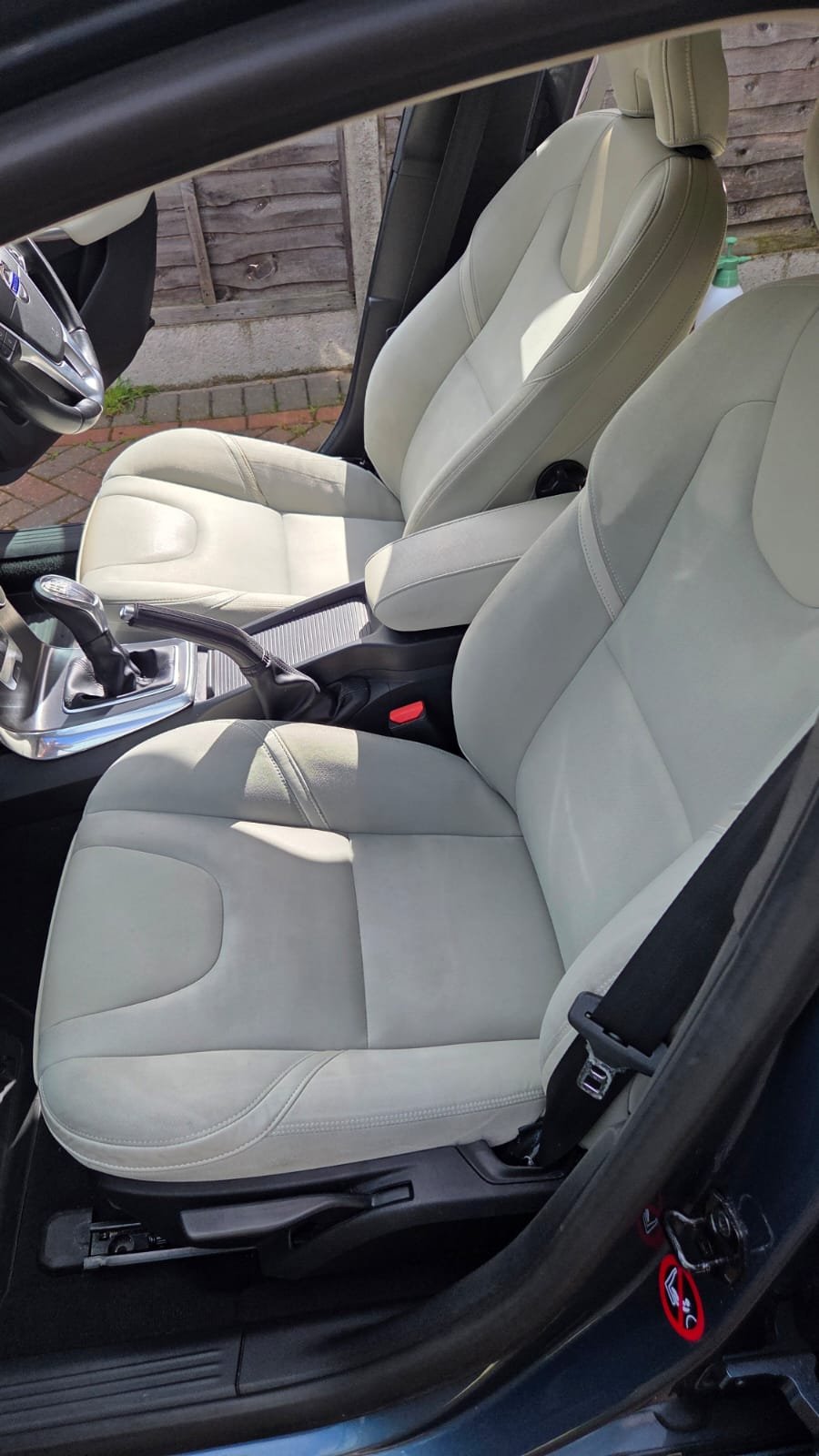 After - Rug Cleaning